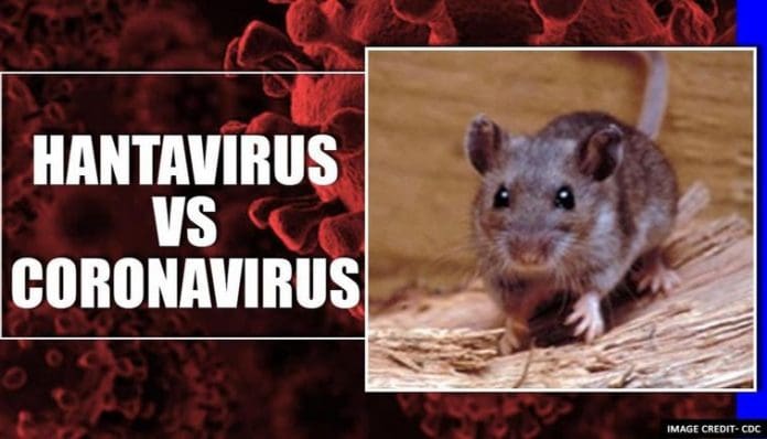 Hantavirus vs Coronavirus