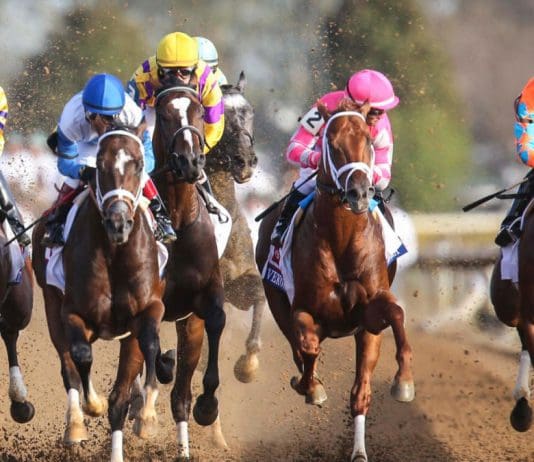 Horse Racing