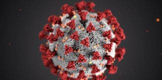 coronavirus