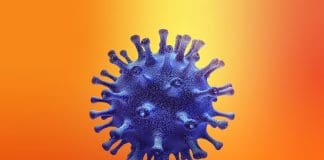 coronavirus