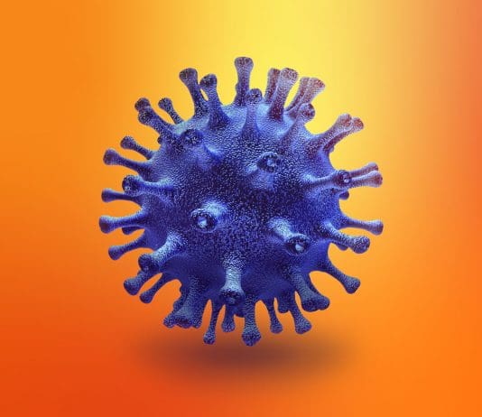 coronavirus