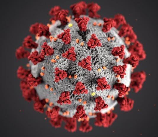 coronavirus