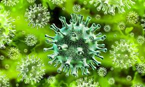 coronavirus