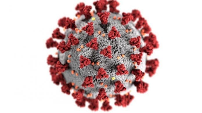 coronavirus