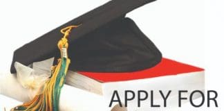 apply for scholarships