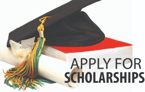 apply for scholarships