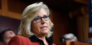 Liz Cheney