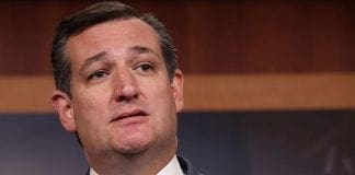 sen ted cruz
