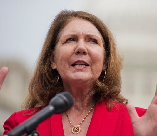 Ann Kirkpatrick