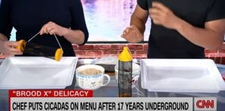 Watch Brianna Keilar eat dead cicadas on live TV