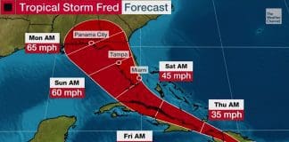 Tropical Storm Fred
