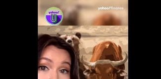 Bull market vs. Bear market: Yahoo U explains the difference