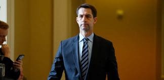 tom cotton