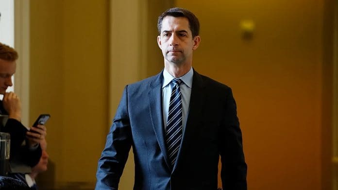 tom cotton