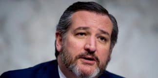 Ted Cruz