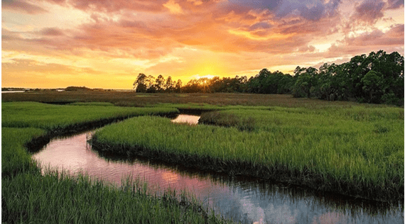 Where is the best place to retire for golfers? 1 image 16