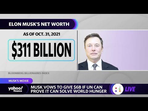 Musk offers to give $6B if UN can prove it can solve world hunger