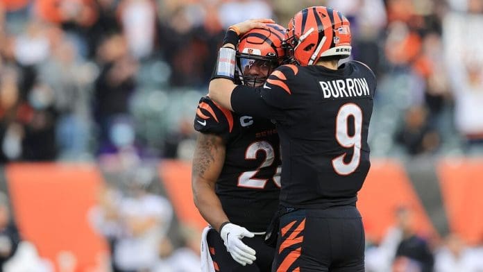 bengals vs. burrows