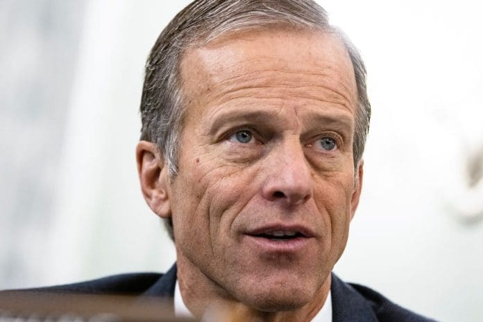 John Thune