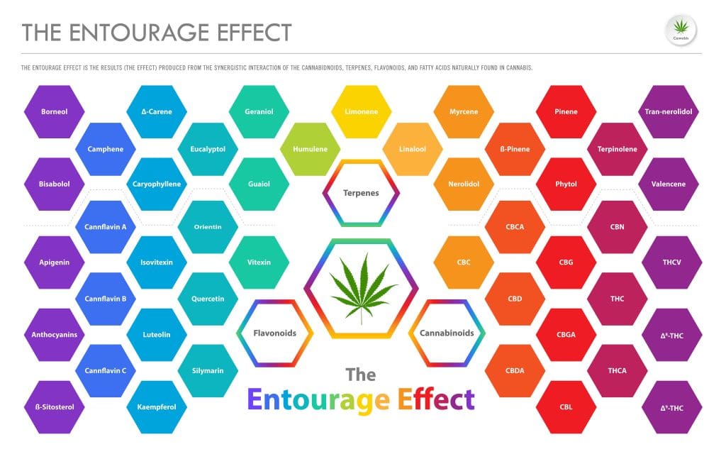 Cannabinoids vs Terpenes