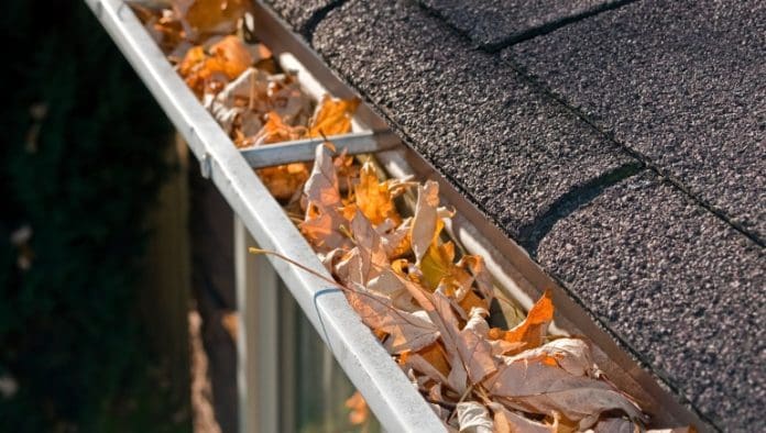 Gutter Cleaning Cost