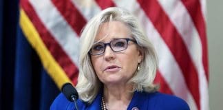 liz cheney