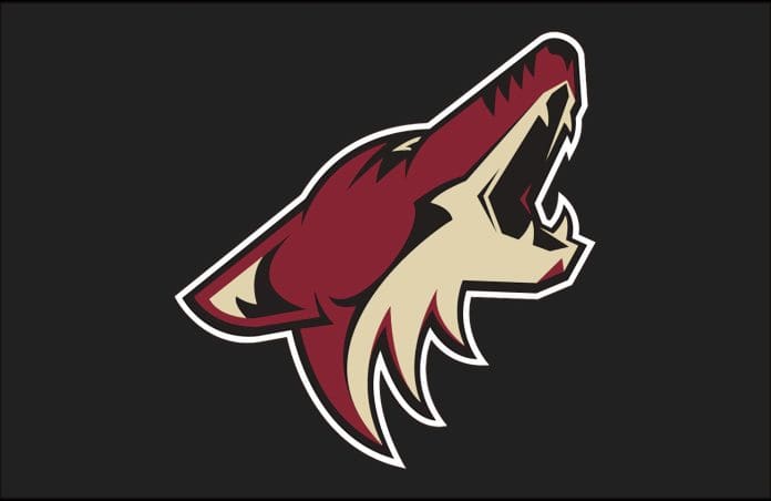 Arizona Coyotes